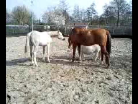 10 minuten uit het leven van Scatch, Bram, Fayyim &  Sequell...