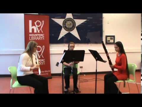 HYS Chamber Woodwind Trio