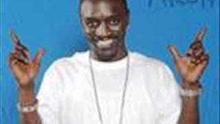 Akon ft. Sean Biggs - Never Gonna Get It (Instrumental) with hook