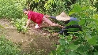 Download lagu Survival in the forest. The girl is misunderstood as a lover mp3