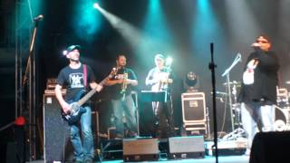 Piersi - Zośka Live