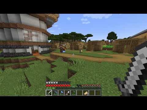 Minecraft - 13.06.2022 - Seli's Paarungstipps