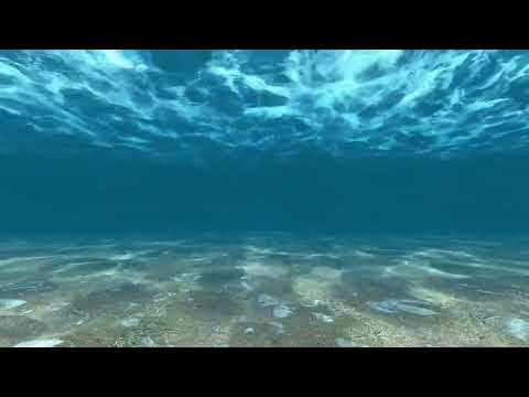 Sonido Bajo el Agua - Underwater Sound
