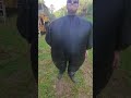 Ricardo Rodriguez- EDPedo445?
