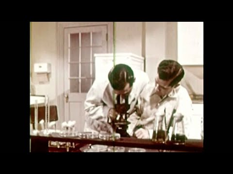 Därför bildades Cancerfonden