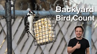 My First Backyard Bird Count Was So Fun!