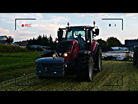 ✓Oporowa kukurydza w Gr.Latuszek✓Ur.Chmielak✓ |AgroRosiaczek|