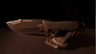 Pappa Bear YouTube sharing