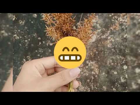 Guru Gee X Zozam Sessions - Nang ngei i ni ( Remake)