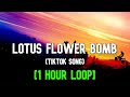 Wale - Lotus Flower Bomb (1 Hour Loop) Ft. Miguel "Ahh ahh aaa eee ooh" [TikTok Song]