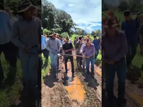 Multirão de roçada de pasto na região de Cocalzinho de Goiás