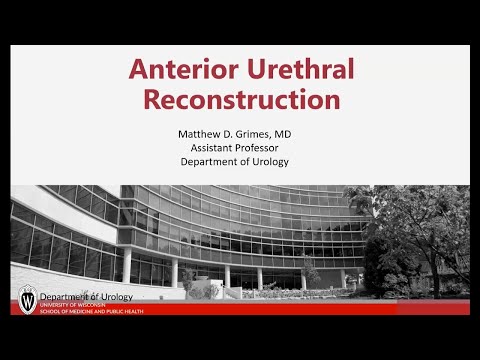UW Urology Grand Rounds: Anterior Urethral Reconstruction – 2/14/2024