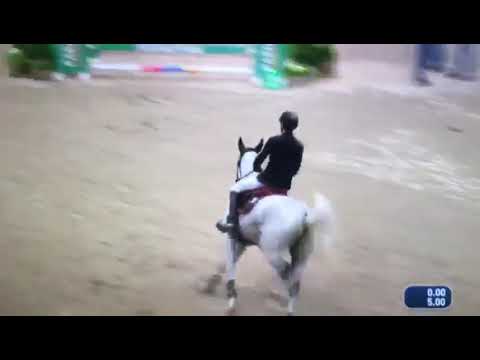 CSI5*W Leipzig - Kevin Staut & Fleurbelle N - 1.40m - 2018