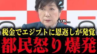 小池百合子がエジプトに税金で恩返し...都民の怒り爆発【さとうさおり/小池百合子/小池都知事】