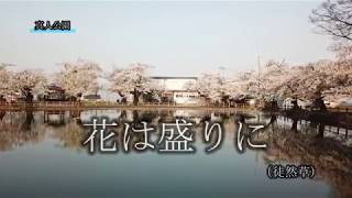 真人公園　日本さくら名所100選