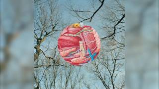 09 All the Lazy Boyfriends - Glean - They Might Be Giants - Backwards Music