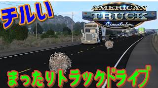 [American Truck Simulator] 実車ハンドル取り付けました [MOZA R3] #雑談 #ATS #チル