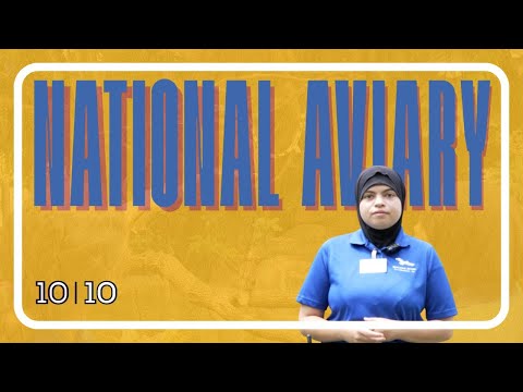 National Aviary | Learn & Earn 10 Stories for 10 Years