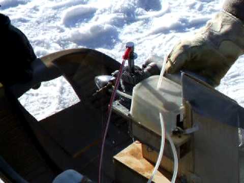 6209 björn närbild justering.AVI