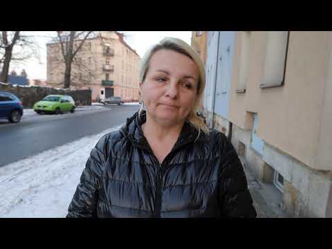 Schronisko dla Bezdomnych - Bolesławiec