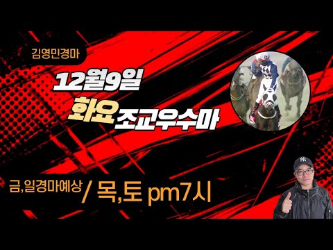 김영민경마 12월9일 부경 화요조교우수마 3두
