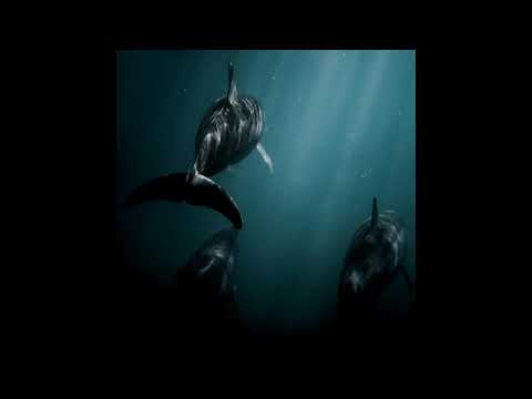 Eytan x Yılmaz Onur - Hesaplaşma (Official Audio)