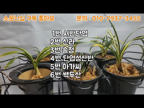 유튜브 썸네일