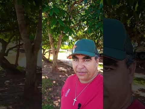 Espelho d'água em Paranaiba/ MS  , Estado do Pantanal