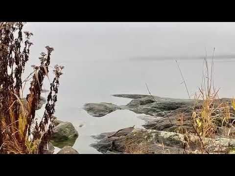 Ledtråd 1 - Uppskattande ledarkonst. Lyssnandets konst.