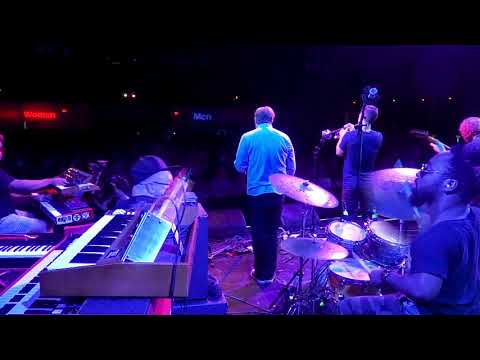 The Funky Knuckles in Houston, TX | Megaboss