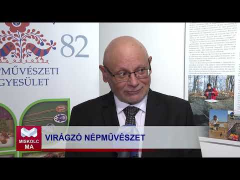 Videó előnézet