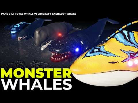 Animetric and Aestheticux