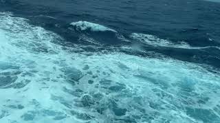 RELAX, UNWIND and Let the WAVES and MUSIC Ease Your Mind #cruiseexperiences