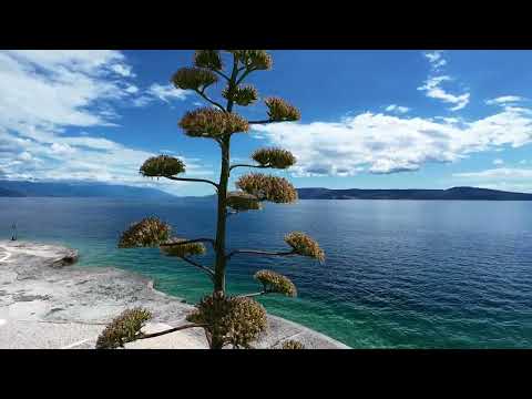 Novi Vinodolski 2025