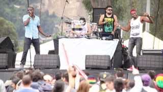 Jamming Festival 2013 / Hety and Zambo / inna di canna