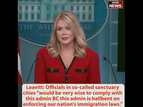 Leavitt: media certainly out of touch on deporting, sanctuary cities wise to comply, Gitmo