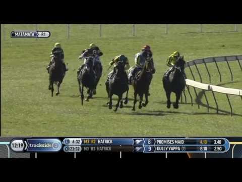 Video player  NZRacing