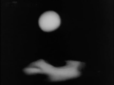 Tino El Pingüino - Midori (Video-letra Oficial)