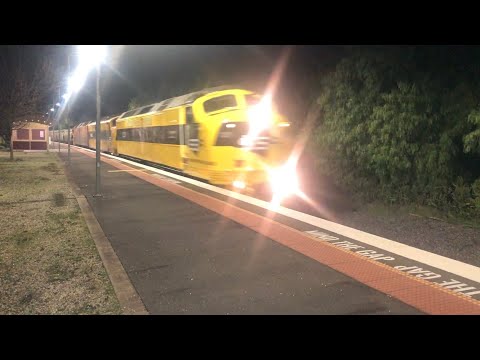 SSR 1CM4 Grain train With CLF1 GM22 CLF2. 19/6/22