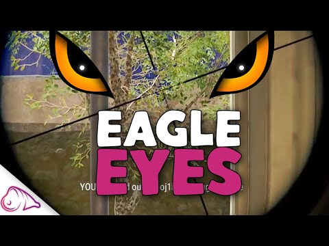 Ham could spot a mouse across a field ft. OGPickle | PUBG Gameplay