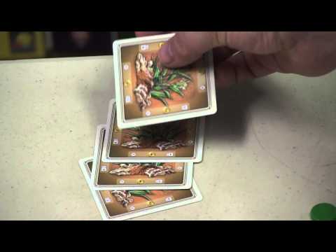 Dice Tower Reviews: Spice Merchant