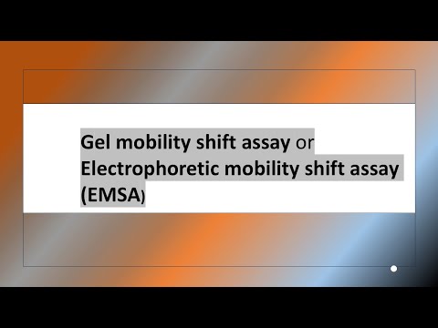 Gel mobility shift assay