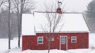 How to Keep Your Chickens' Water from Freezing...No Electricity Needed!