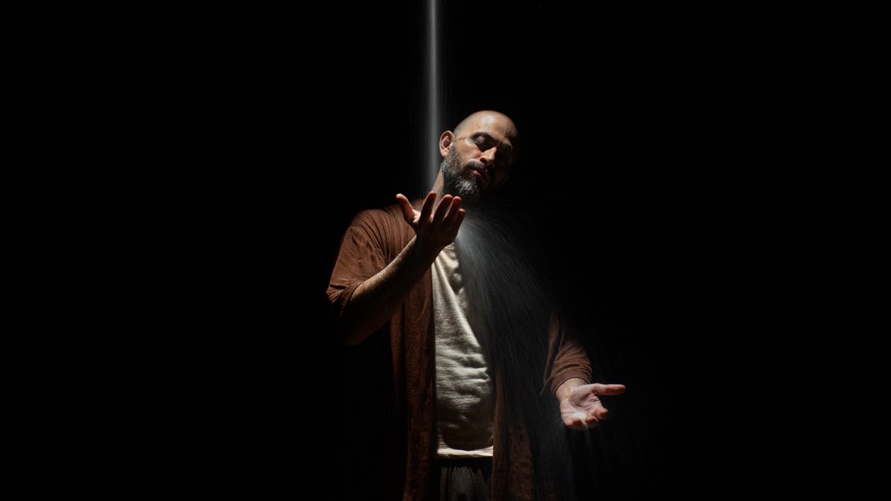 Um pássaro não é uma pedra