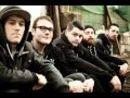 Living with lions-Colors 