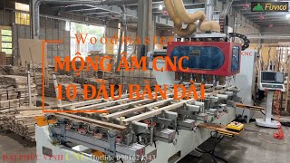 MÁY MỘNG ÂM CNC BÀN DÀI 10 ĐẦU WOODMASTER WM-5X2CNC.
