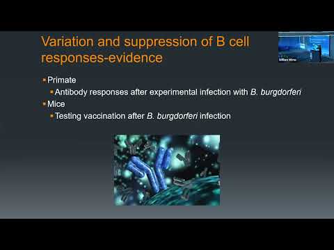 Bacterial Persistence and Immune Responses to Infection - Monica Embers PhD - Lyme Summit 2023