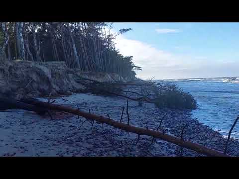 Dźwirzyno/Sztorm/31 styczeń 2022