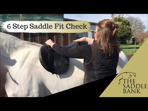 The Saddle Bank - 6 STEP SADDLE FIT CHECK