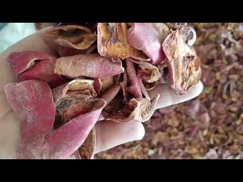 Urjveda pomegranate peel